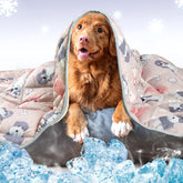 Leekalos manta refrigerante para perros: alivia el calor y aporta comodidad.