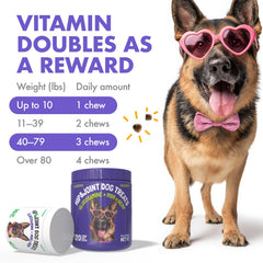 LegitPet aceite cañamo usa: fuente natural de bienestar para perros.