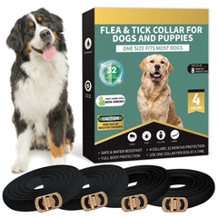 Lerqua collar antipulgas para perros, conjunto de cuatro, protección continua.
