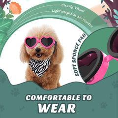 Lewondr gafas anti-niebla para perro, visión clara al exterior.