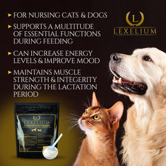 Lexelium desarrollo muscular para cachorros y gatitos durante la lactancia.