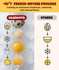 LILSNOOTS frasco hermético, mantiene frescura y nutrientes de la yema de codorniz.