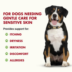 LIQUID-VET K9 Itch & Allergy, etiqueta frontal clara para identificar la fórmula.