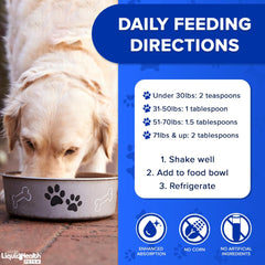 LIQUIDHEALTH K9 Complete: perro activo con pelaje saludable gracias al suplemento.