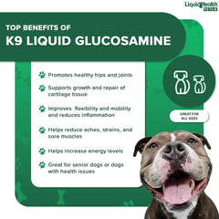 LIQUIDHEALTH K9 Glucosamina, envase de galón para uso prolongado