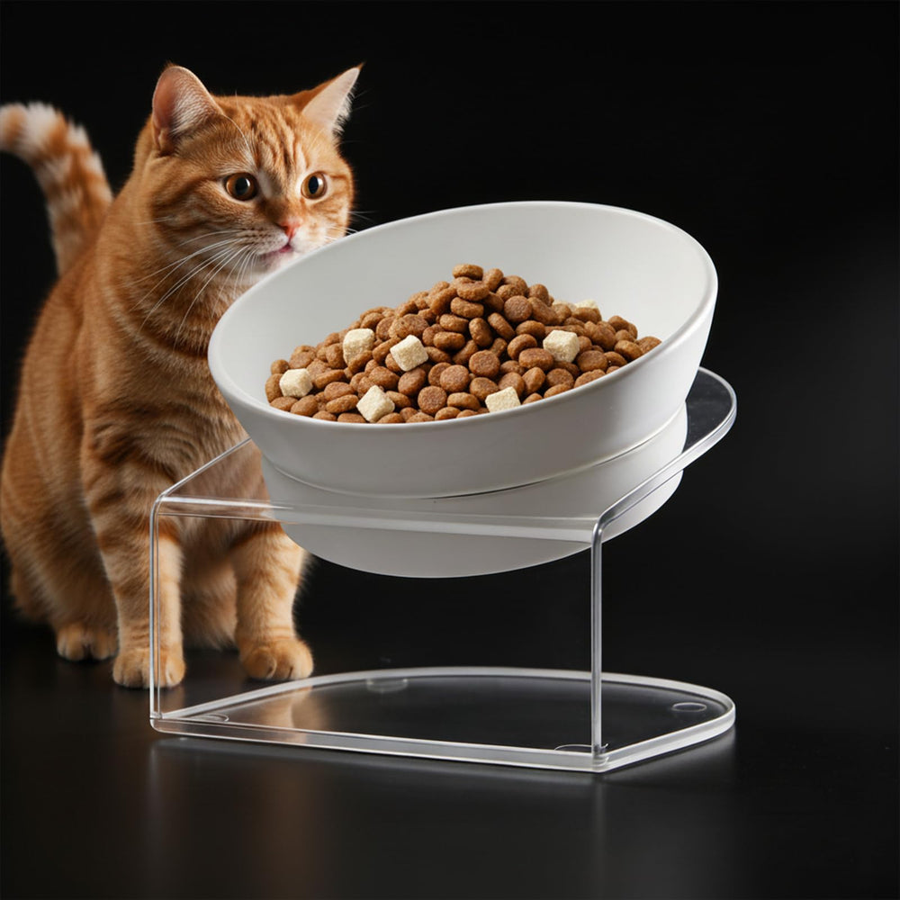 LivLab Mker tazón elevado para gatos, postura cómoda durante la comida.