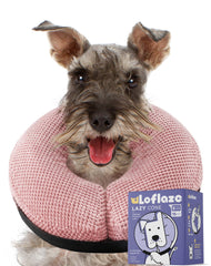 Loflaze collar inflable para perro con movimiento libre durante la recuperación