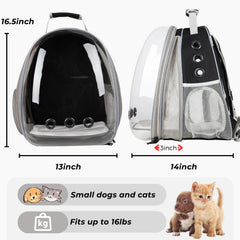 Lollimeow: dimensiones y expansión para gatos grandes y perros pequeños