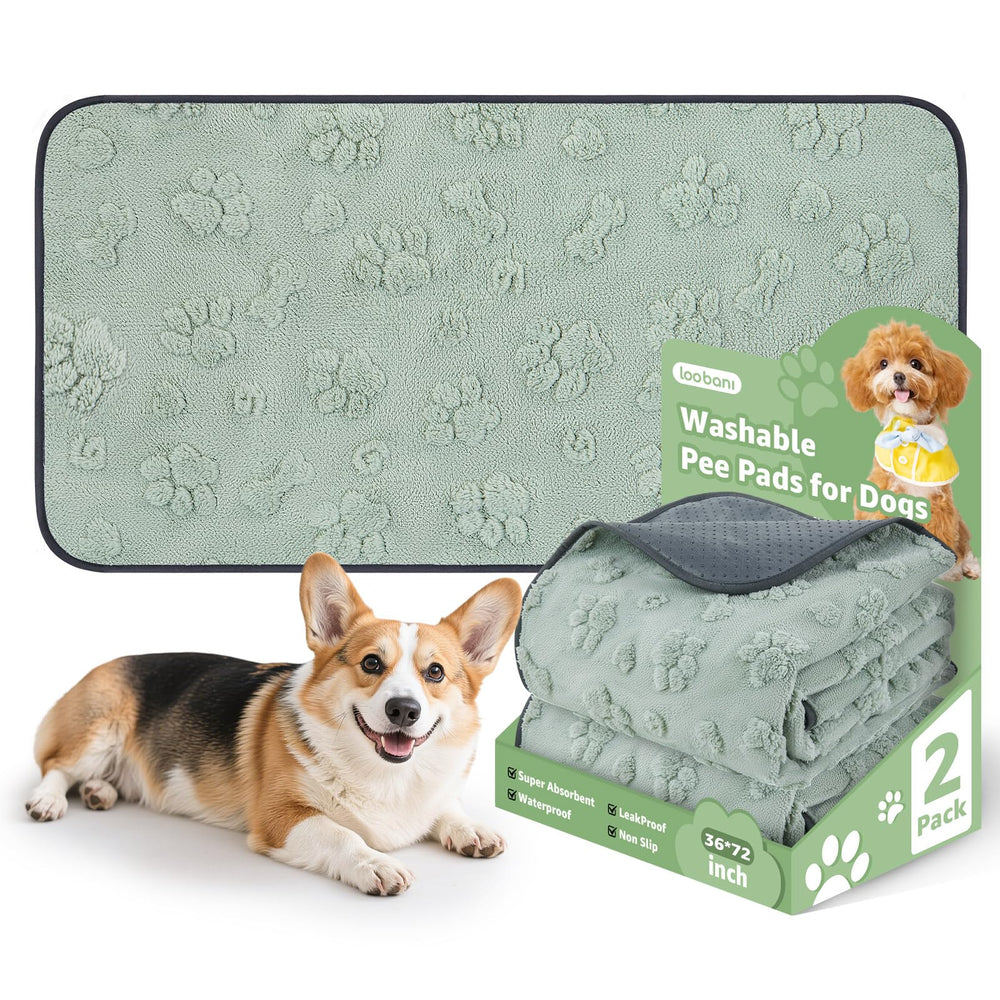 LOOBANI alfombrilla lavable para perros con diseño adorable que protege la piel y superficies.