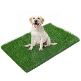 LOOBANI Cesped artificial para adiestramiento de perros, enfoque general, higiene y comodidad en casa.
