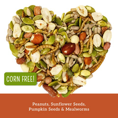 Love My Girls Snacks: gusanos de harina primer plano, fuente de proteína