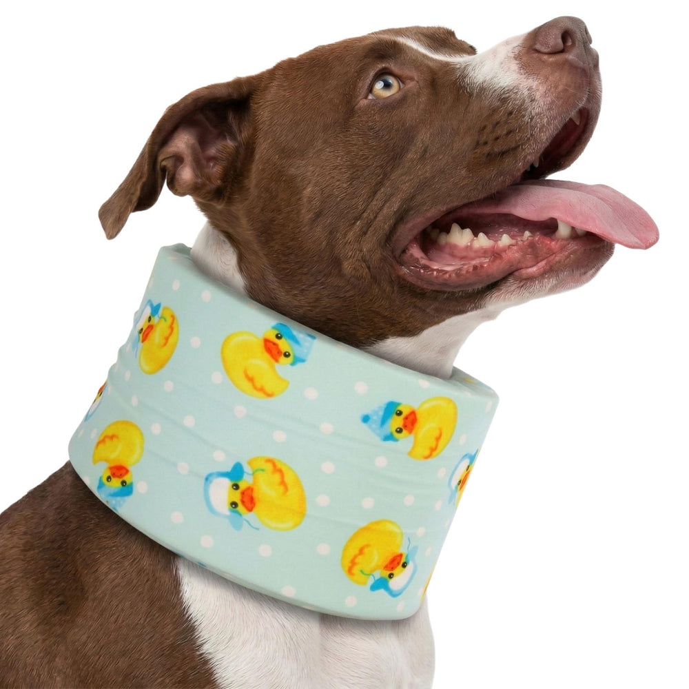 LovinPet collar recuperación perro azul, suavidad y soporte para evitar lamidos.