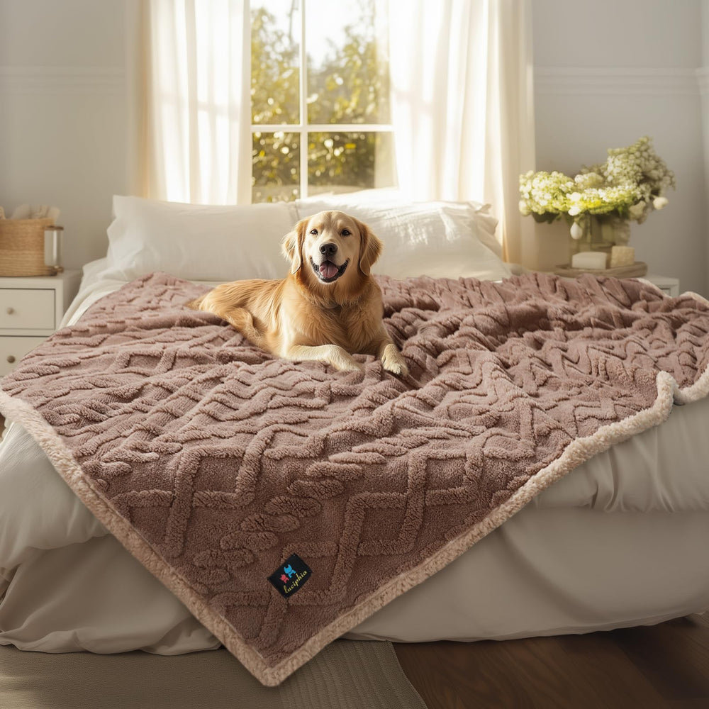 Manta impermeable Luciphia para mascotas sobre sofá, protege el mueble.
