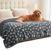 Luciphia manta impermeable para perros sobre el sofá, protegiendo el mobiliario