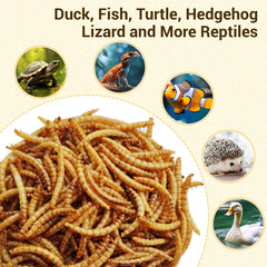 LuckyQworms uso en aves y pajaros, complemento nutritivo.