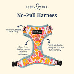 Lucy & Co. Arnés ajuste completo cuello y pecho para un ajuste perfecto.