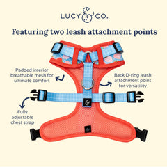 Arnés Lucy & Co: ajuste en cuello y pecho para un ajuste cómodo y adaptable.