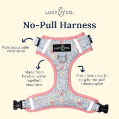 Lucy & Co. Ditsy Daydream talla grande para perros de complexión amplia.