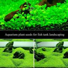 LUKAWES, alfombra real de plantas para acuario, paisaje vibrante.