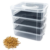 Kit LUKHMELF para cría de gusanos de harina, cuatro niveles, observación general para manejo eficiente.