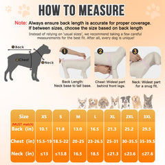 Lukovee impermeable para perros, capucha transparente, protege sin bloquear la visión del animal.