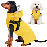 Lukovee impermeable exterior para perros: mantiene al animal seco en paseos mojados.