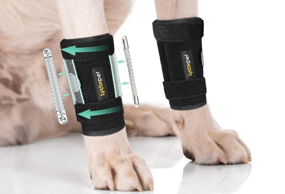 Lyderpet ortesis frente carpo perro: soporte estable para la articulación durante la recuperación.