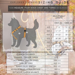 ARNÉS MADE TO ROAM Explorer con D-Ring grande para control cercano
