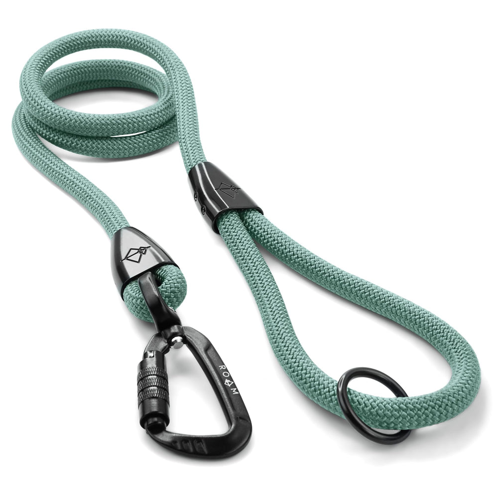 MADE TO ROAM Explorer Leash con mosquetón de aluminio autolock para aventuras al aire libre.