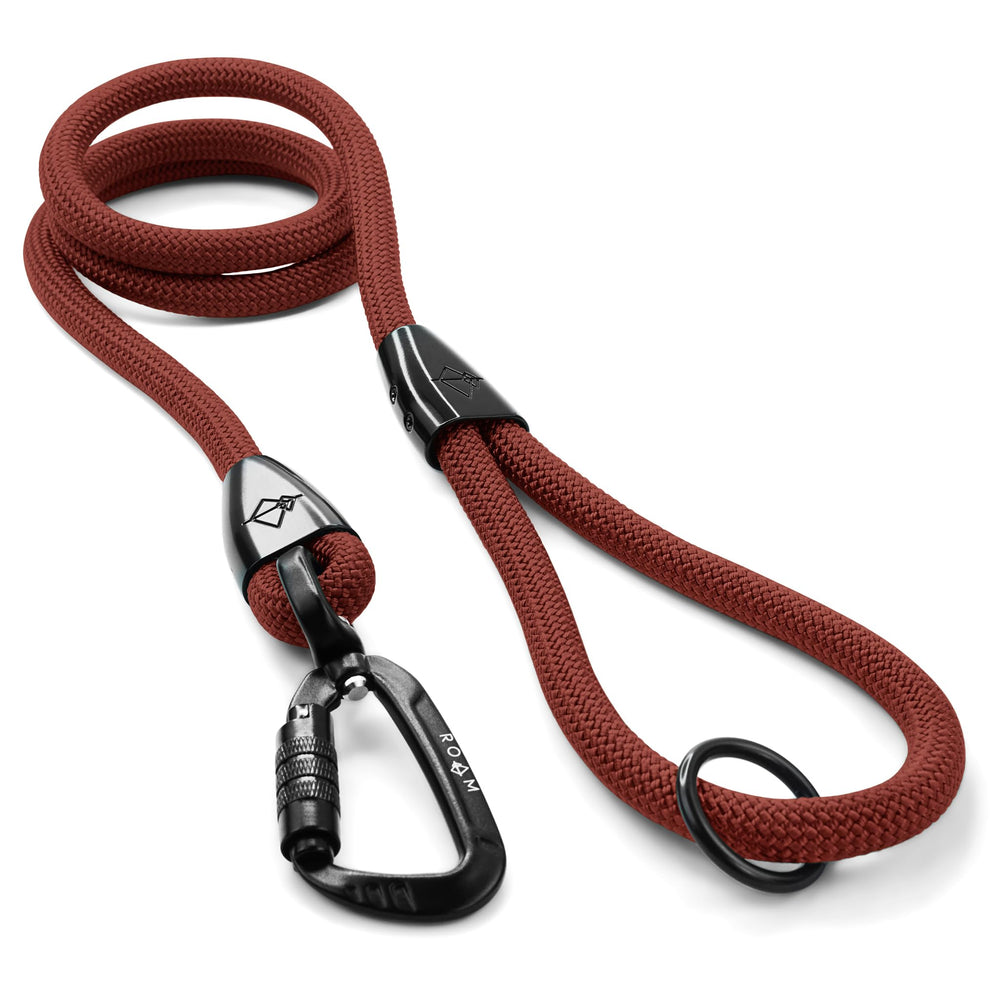 MADE TO ROAM Explorer correa para perros con mosquetón automático, ideal para paseos al aire libre