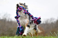 Mammoth Flossy Chews Juguete Cuerda Perro-Tira para juego interactivo diario.
