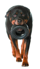 Mammoth TireBiterII: tamaño XL para perros grandes.