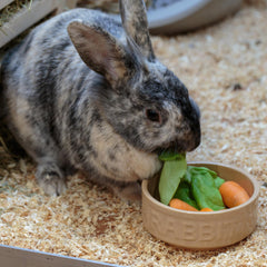 Peso estable con Mason Cash Cane Rabbit Bowl, evita derrames durante la comida
