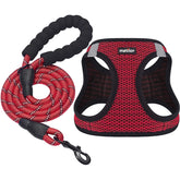 Harnais Matilor pour chien, insertion simple et respirant pour balades quotidiennes.