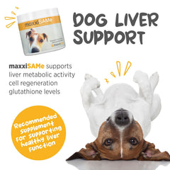 maxxipaws maxxisame etiqueta frontal, descripción clara de beneficios para perros