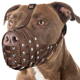 Mayerzon bozal para pitbull: protección ante mordidas durante paseos