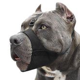 Bozal Mayerzon Pitbull, vista frontal, diseño ergonómico para hocicos cortos.