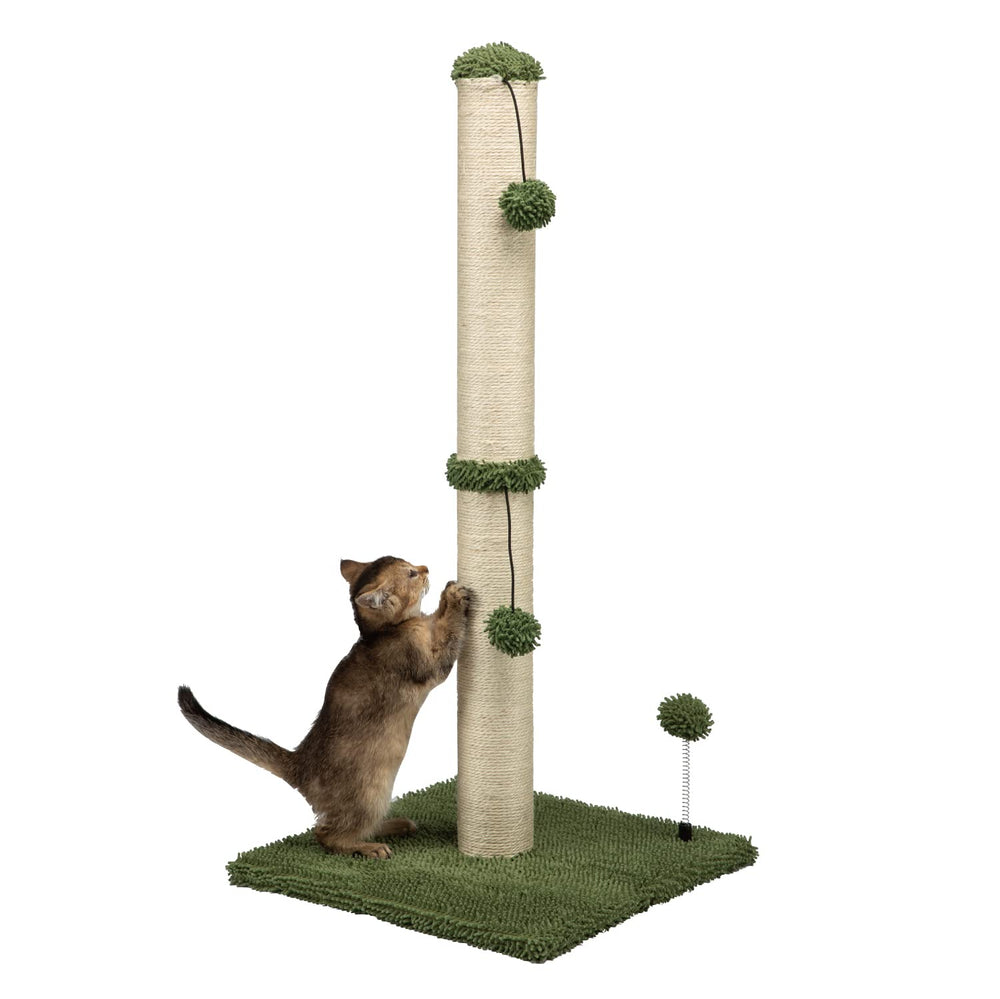 MECOOL poste rascador de 34 pulgadas con base estable para gatos.