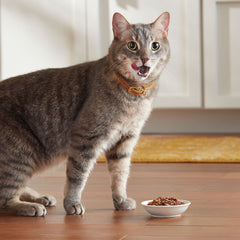 Meow Mix Tenders en Salsa Variedad, pack de 48 tazas para comidas diarias