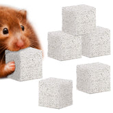 Meric CoCoo piedra de lava para afilar dientes de mascotas pequeñas durante la masticación.