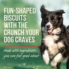 Galletas Merrick para perros sin maiz soja trigo, sabor calabaza real.