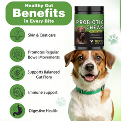 Meukgag Probiotics para perros: ingredientes naturales para apoyo digestivo diario.