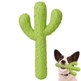 MewaJump Juguete mordedor cactus para perros, ideal para masticar y diversión