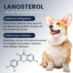Fórmula natural Mgviiiva con lanosterol para cuidado ocular suave