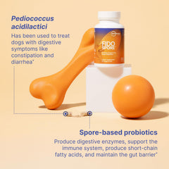 Microbiome Labs Fidospore: uso diario para perros y gatos.