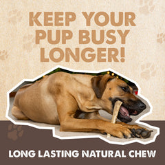Cuernos de ciervo Mighty Paw ayudan a dientes sanos de forma natural.