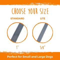 Mighty Paw doble correa para dos perros, sin enredos durante caminatas