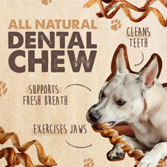 Mighty Paw Naturals Curly Bully Sticks, perro masticando, promueve entretenimiento.