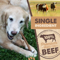 Mighty Paw olor reducido, snack natural para perros sensibles al aroma.