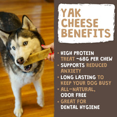 Mighty Paw Protéina Alta Yak Masticables ofrece alto contenido proteico para perros activos.